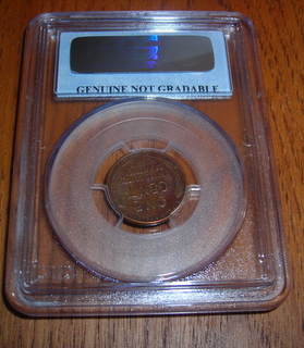 Found-The-King-Of-Wheat-Errors-Today-1955-Double-Die!!